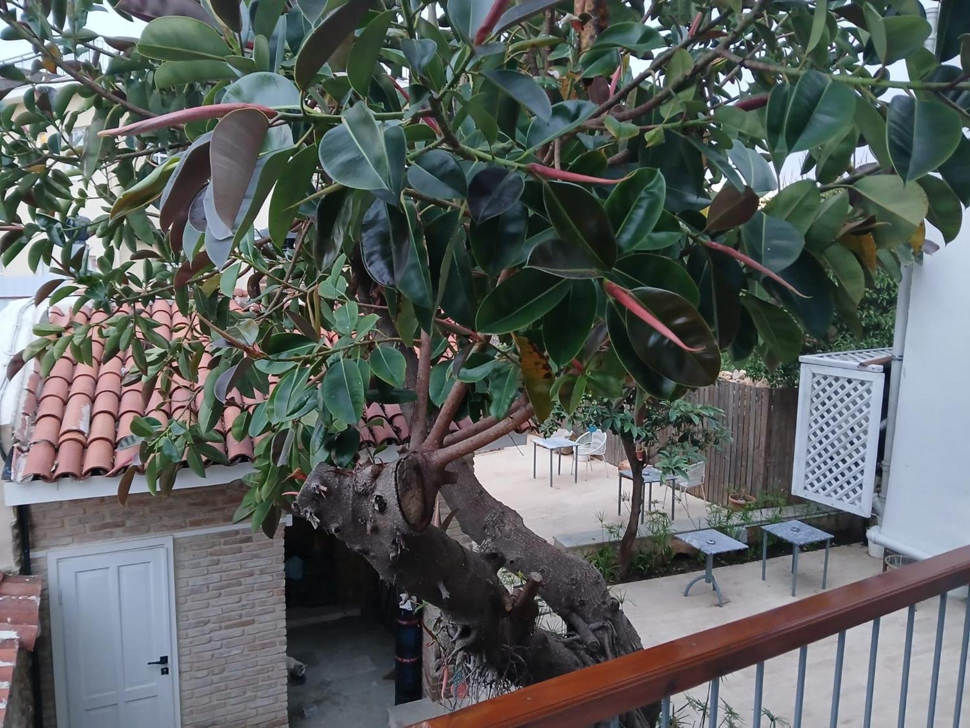 Hotel House Of Good Things Antalya Zewnętrze zdjęcie